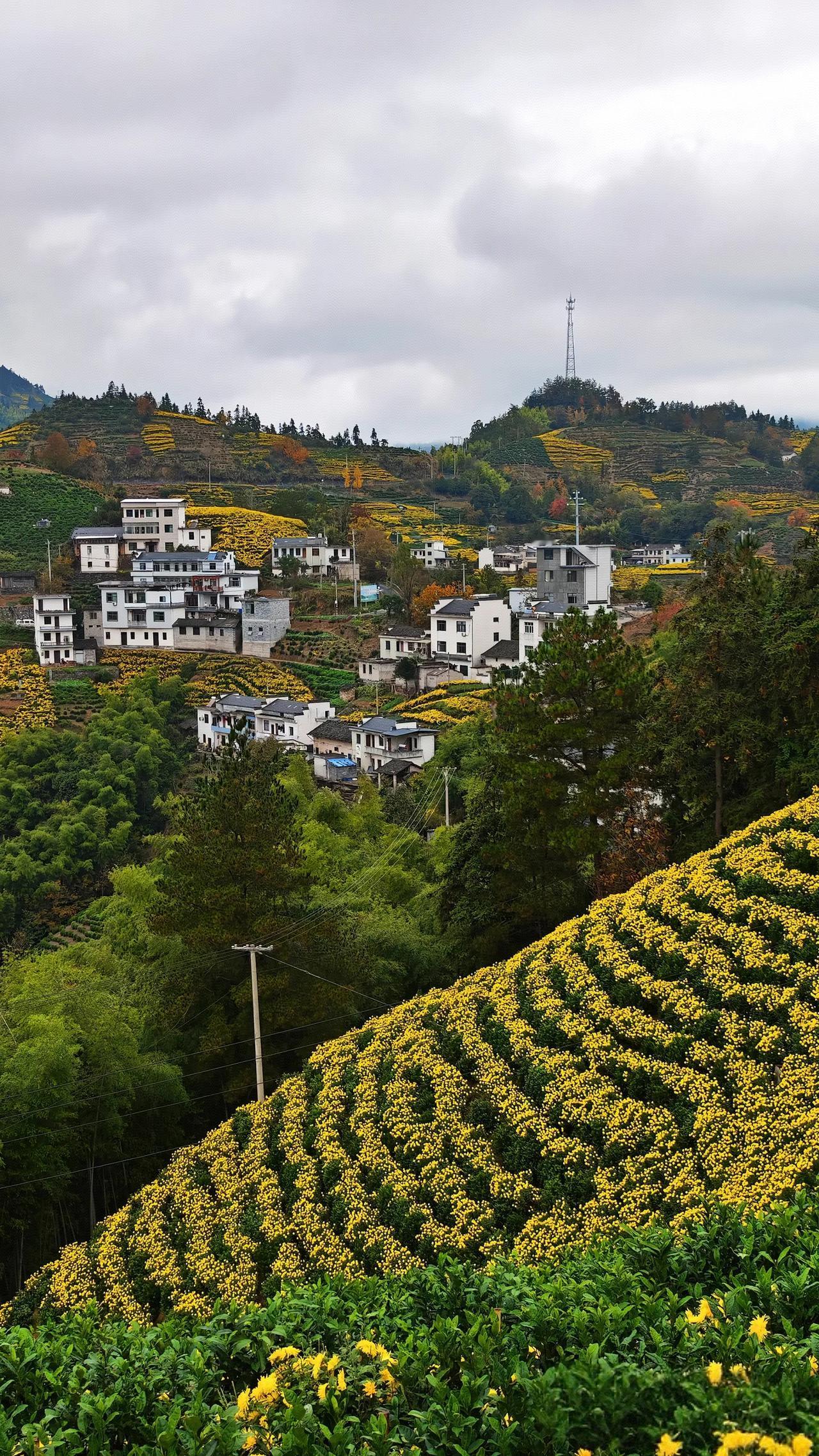 但凡遇到那种虚假宣传的产品坚决不看，比如说现在的很多酒店都在宣传说两天一晚，这就