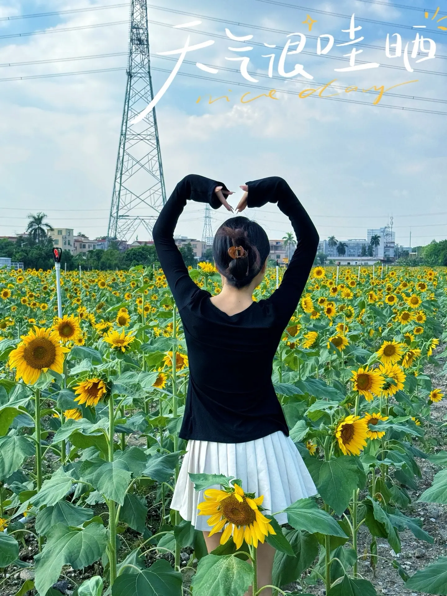 我不再会去为谁装扮成玫瑰🌹而我要做自己的向日葵🌻