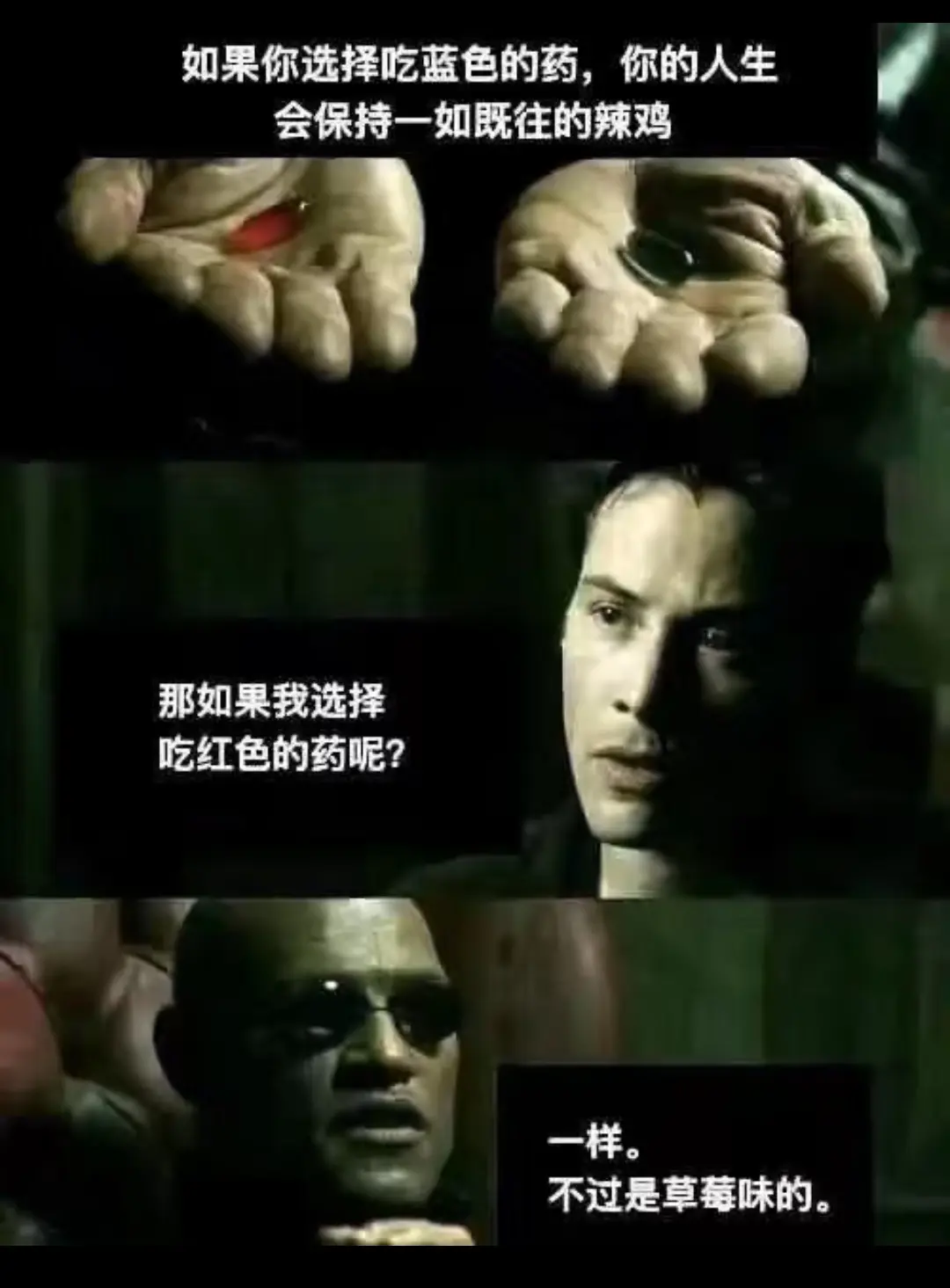 各位放假了吗🥱