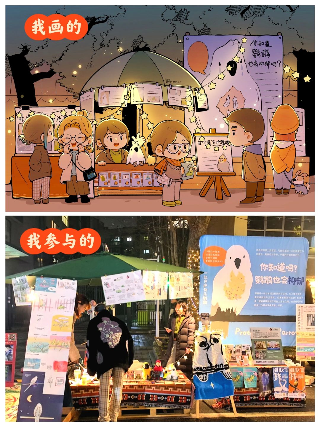 2024的第1天就由守护鹦鹉保护来开启吧！