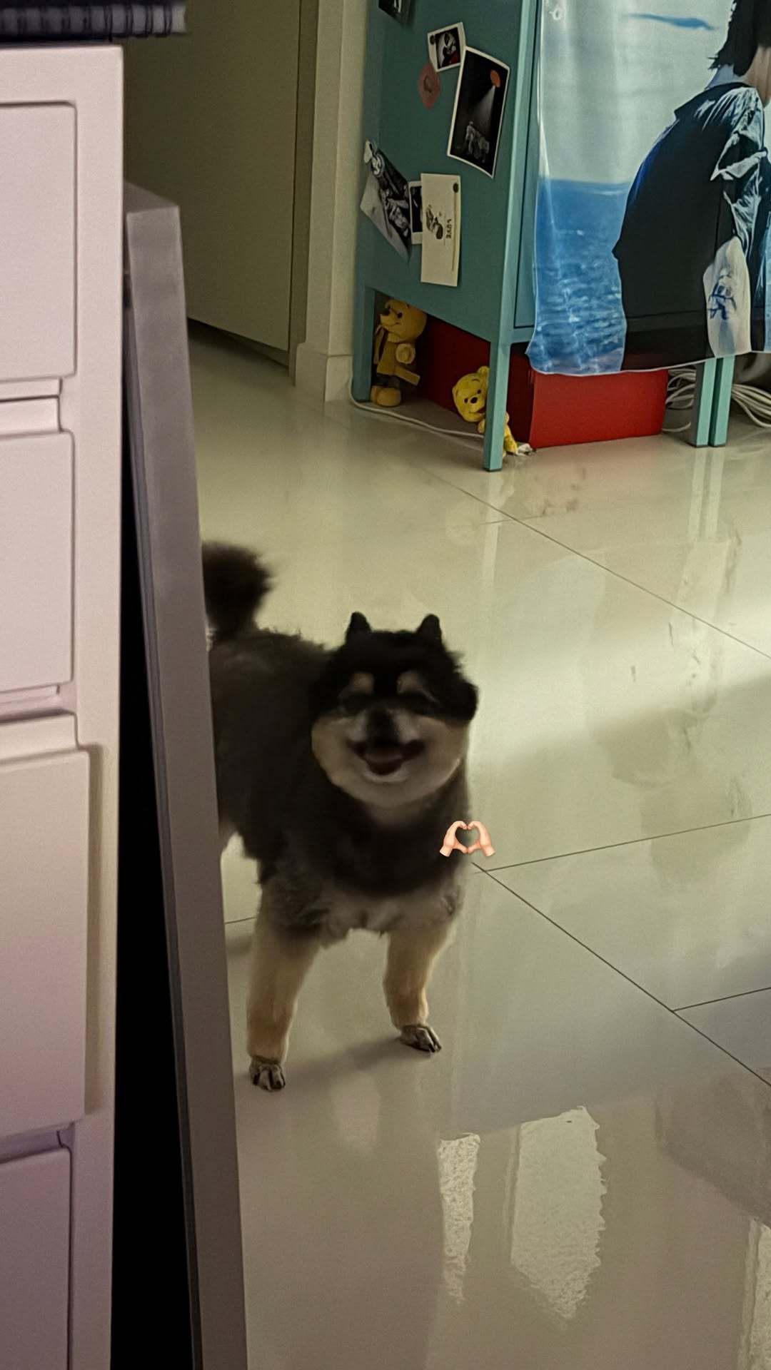 “CB百蓝_。260516金钟云 ins story更新： 