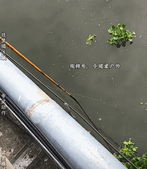 这么远能叉到，高手高手高高手![赞]