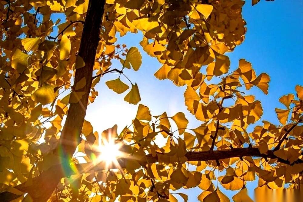 朋友圈又刷到她了。
笑得那叫一个灿烂，旁边是她的新男友。
要不是知道她老公才走了