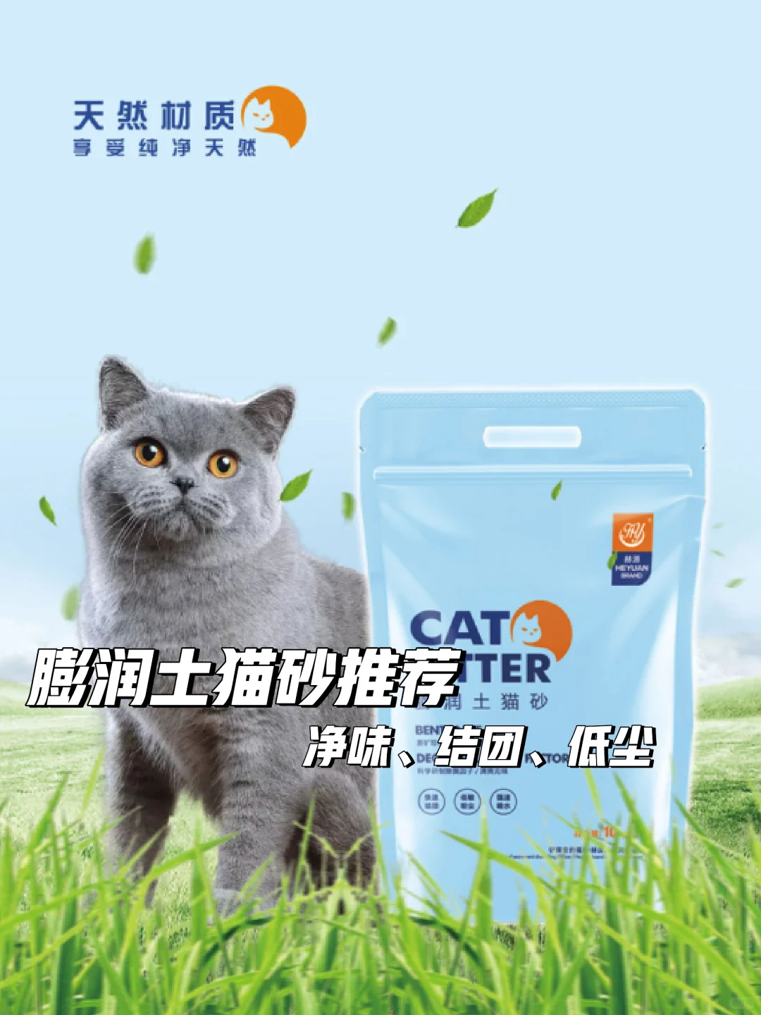 猫咪必备💩超值猫砂推荐