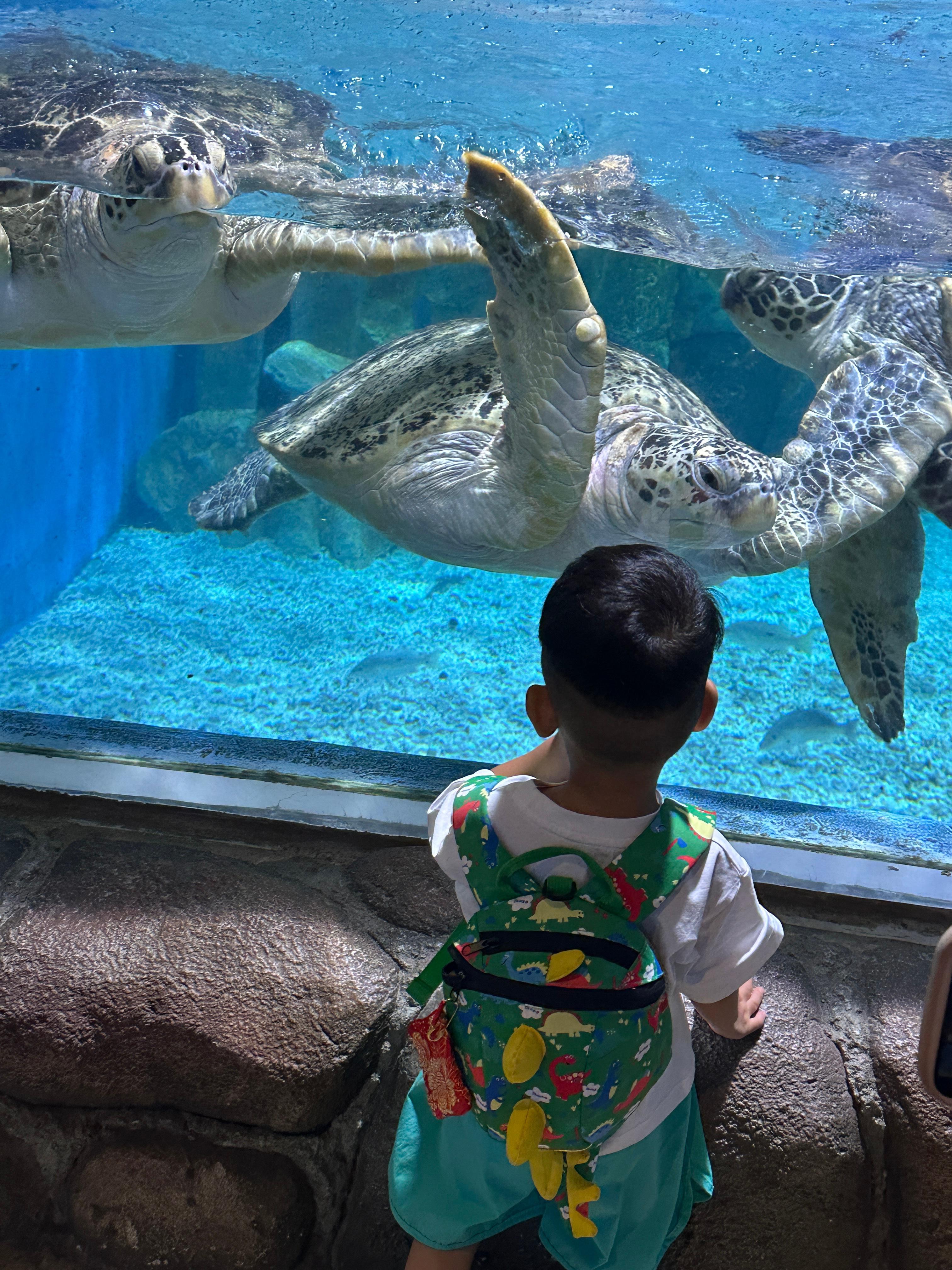 这条小鱼在乎🐟 