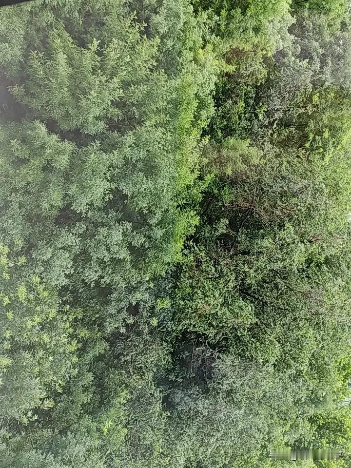 上午约了移动的人开装宽带
来了才发现搞错了
我和先生都用移动
都送了宽带
这次我
