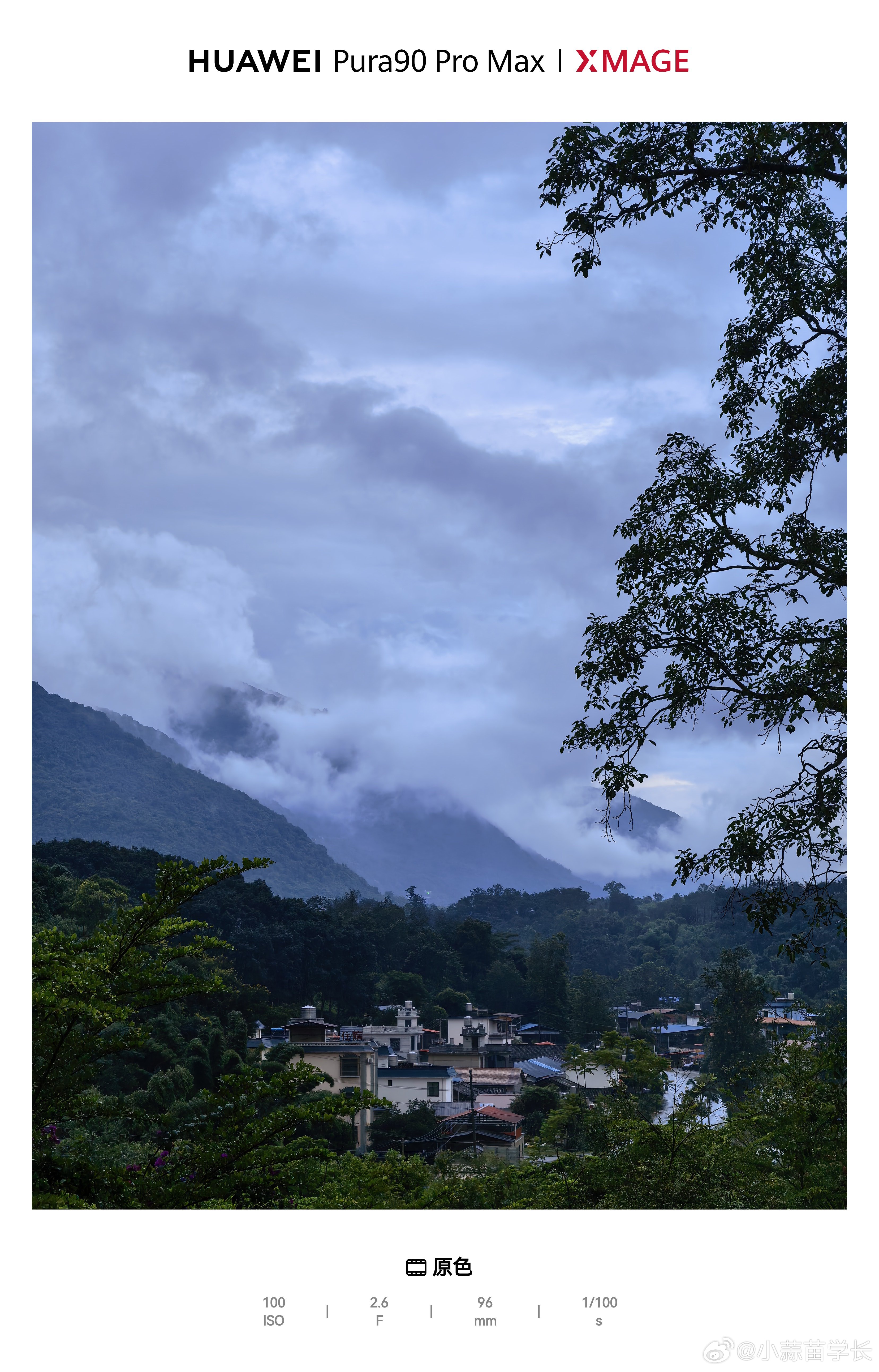 热带雨林雨后清晨，空山新雨，确实舒服，我以为热带雨林都是闷热，原来是冷热适宜。