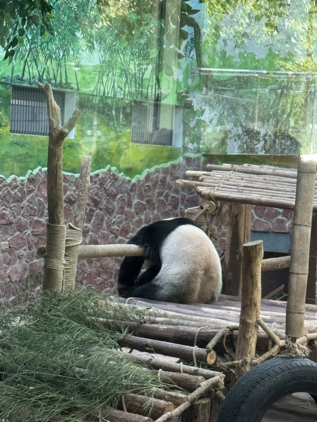 黔灵山公园，好玩！