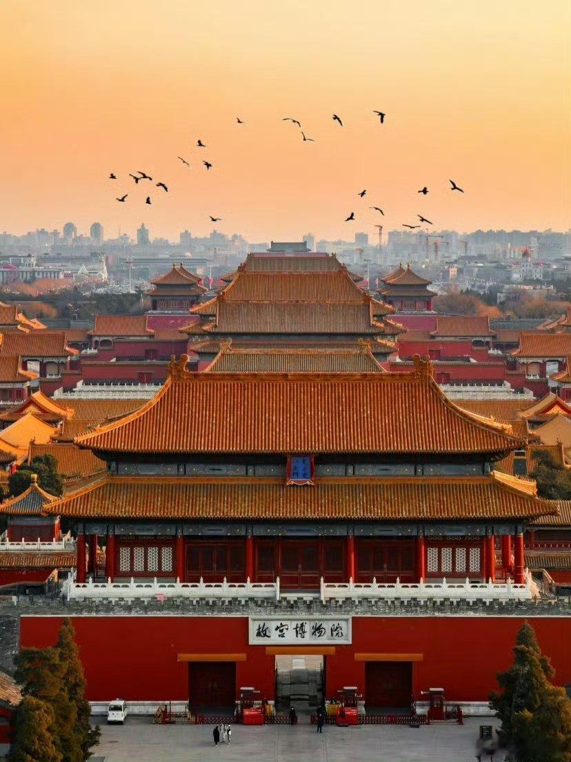 一定要来北京感受一次北平的春 在北京能够体会到了不一样的一种春天的美景也是非常的