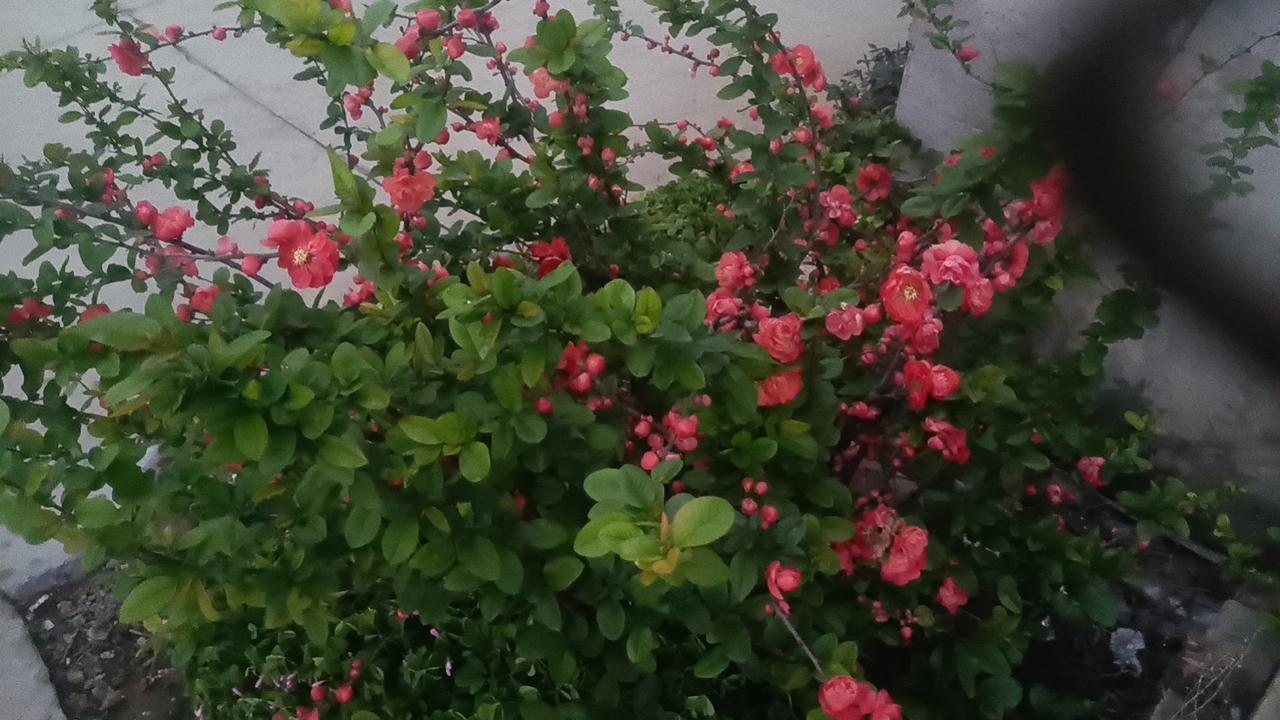 当加油站的油价牌数字不断跳动上涨，很多人的生活也随之泛起了层层涟漪。油价飙升，早