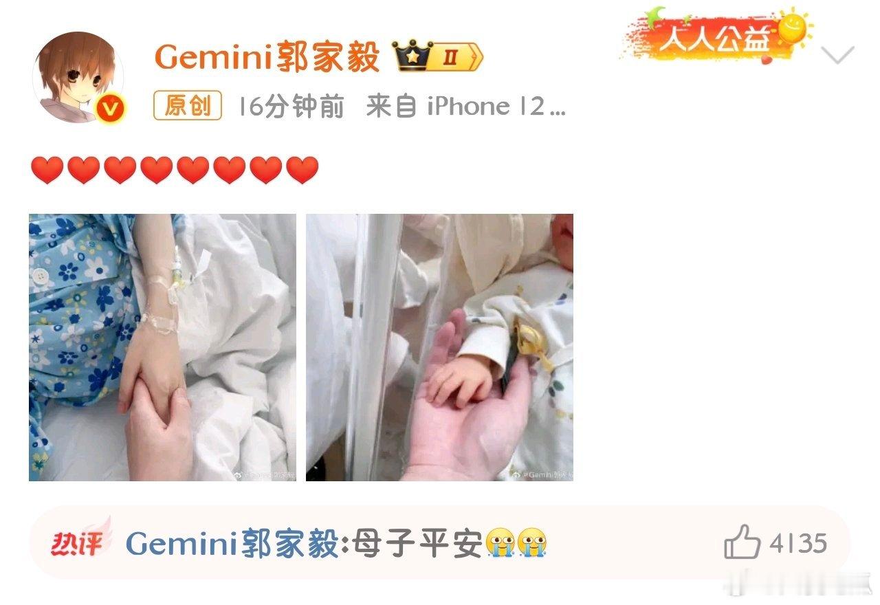 瓜友速报 鹌鹑当爸爸了 ​​​