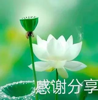 分享佳作才华横溢，全力支持精彩分享！