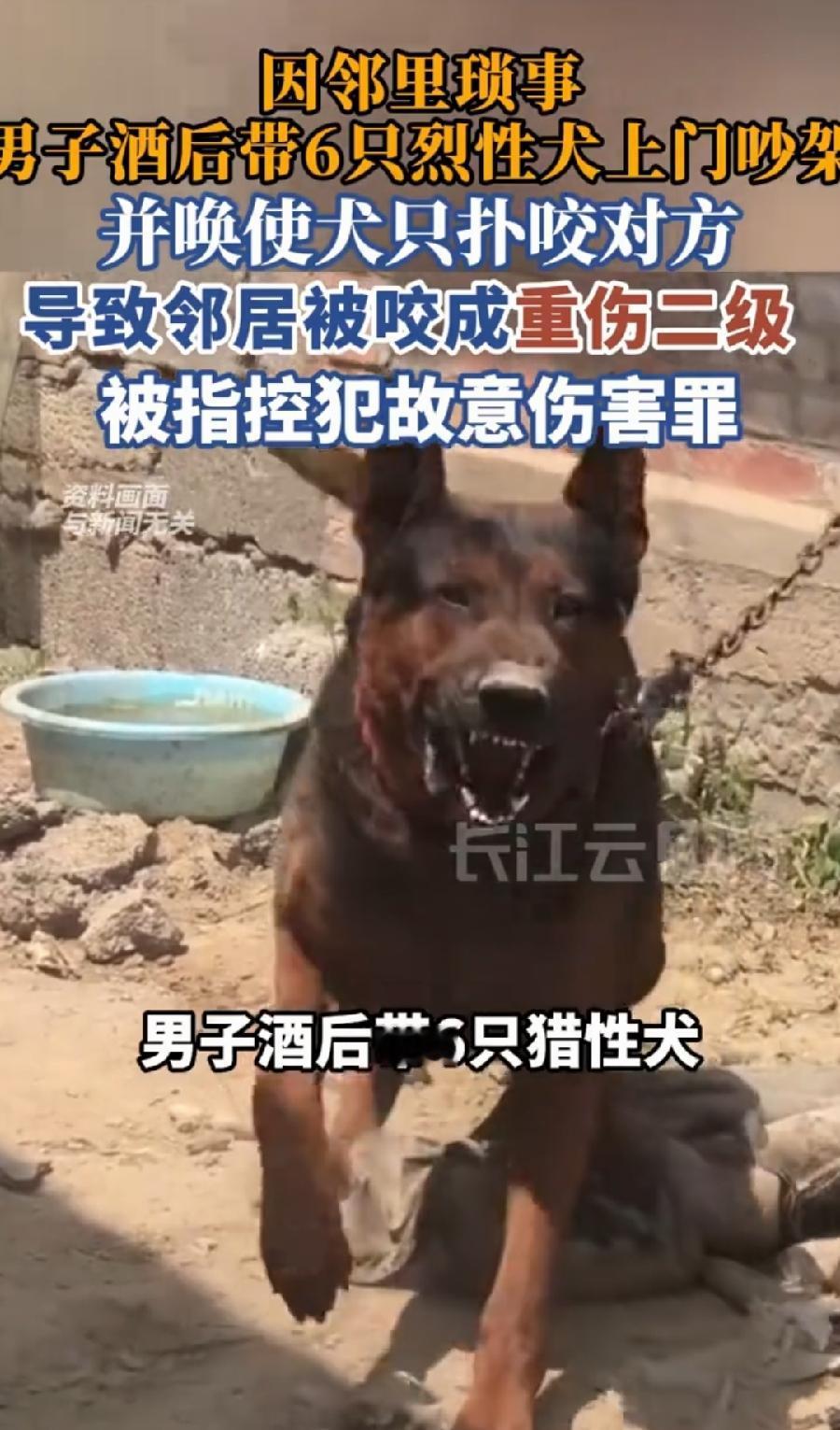 男子带6只烈犬上门撕咬邻居重伤。
故意伤害？这是故意杀人！
养狗如何管理一直被热