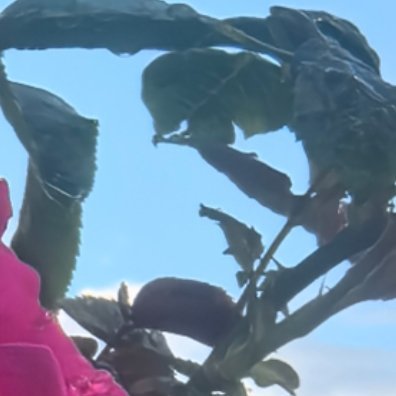 花粉脑子是有多平滑，还是对自家姐姐一点信心没有，和谁演不是工作，好好干自己的工作
