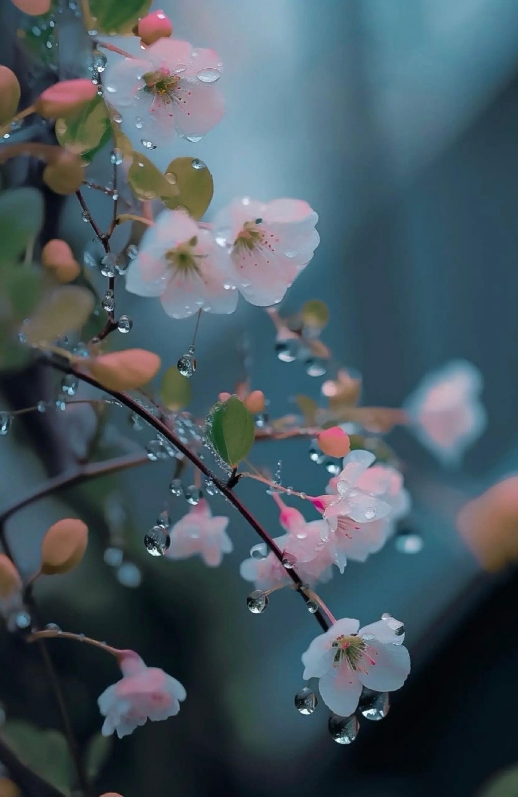 祸散福生，喜从天降 