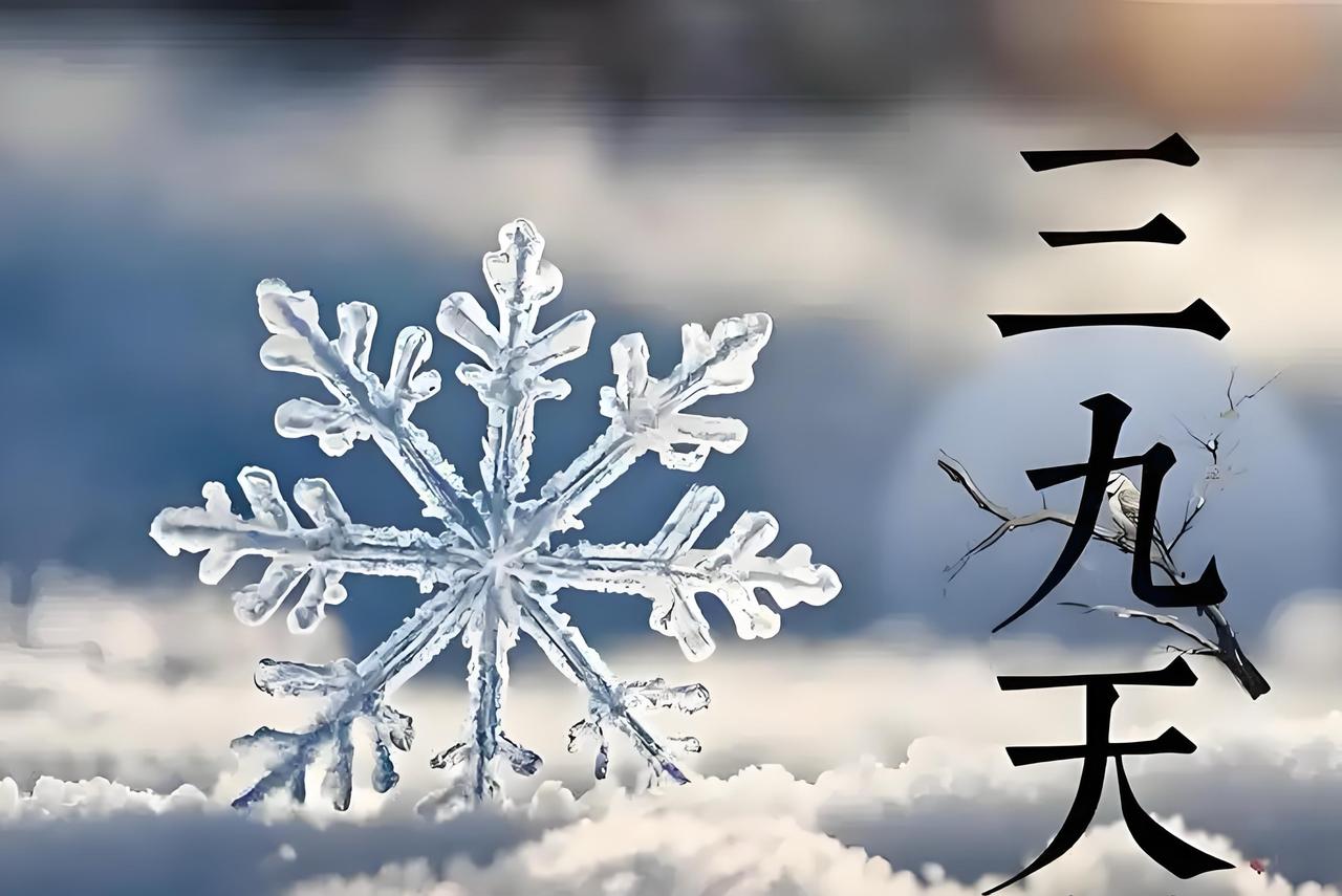 为啥今年的三九会暖和一点？

         明日进入三九天，专家分析今年会偏