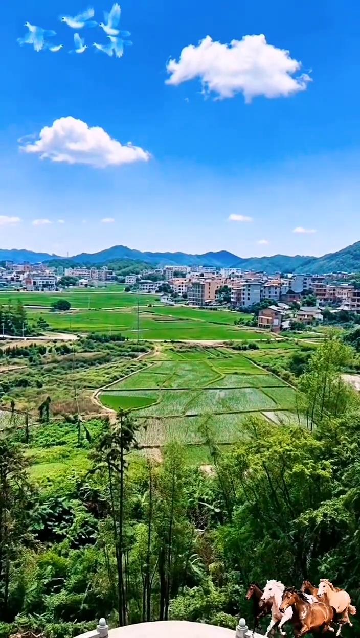 展诰山风景。
生活从来不缺风景，难的是有心来赏静，更是心静不慌不忙，不卑不亢。万