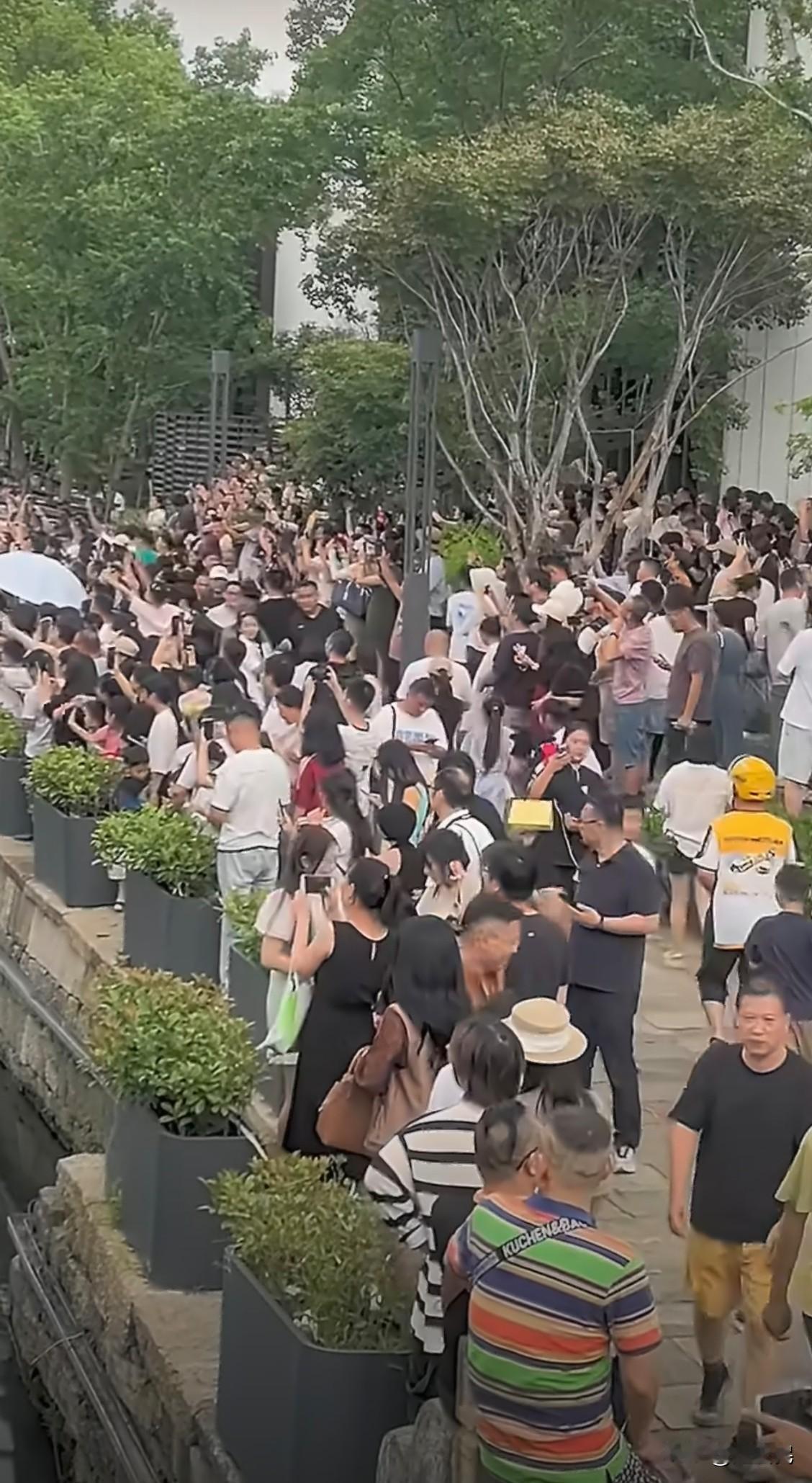 老爷爷提前剪掉的7个葫芦，讽刺了谁！
实在都理解不了，我们的网友到底是怎么回事了