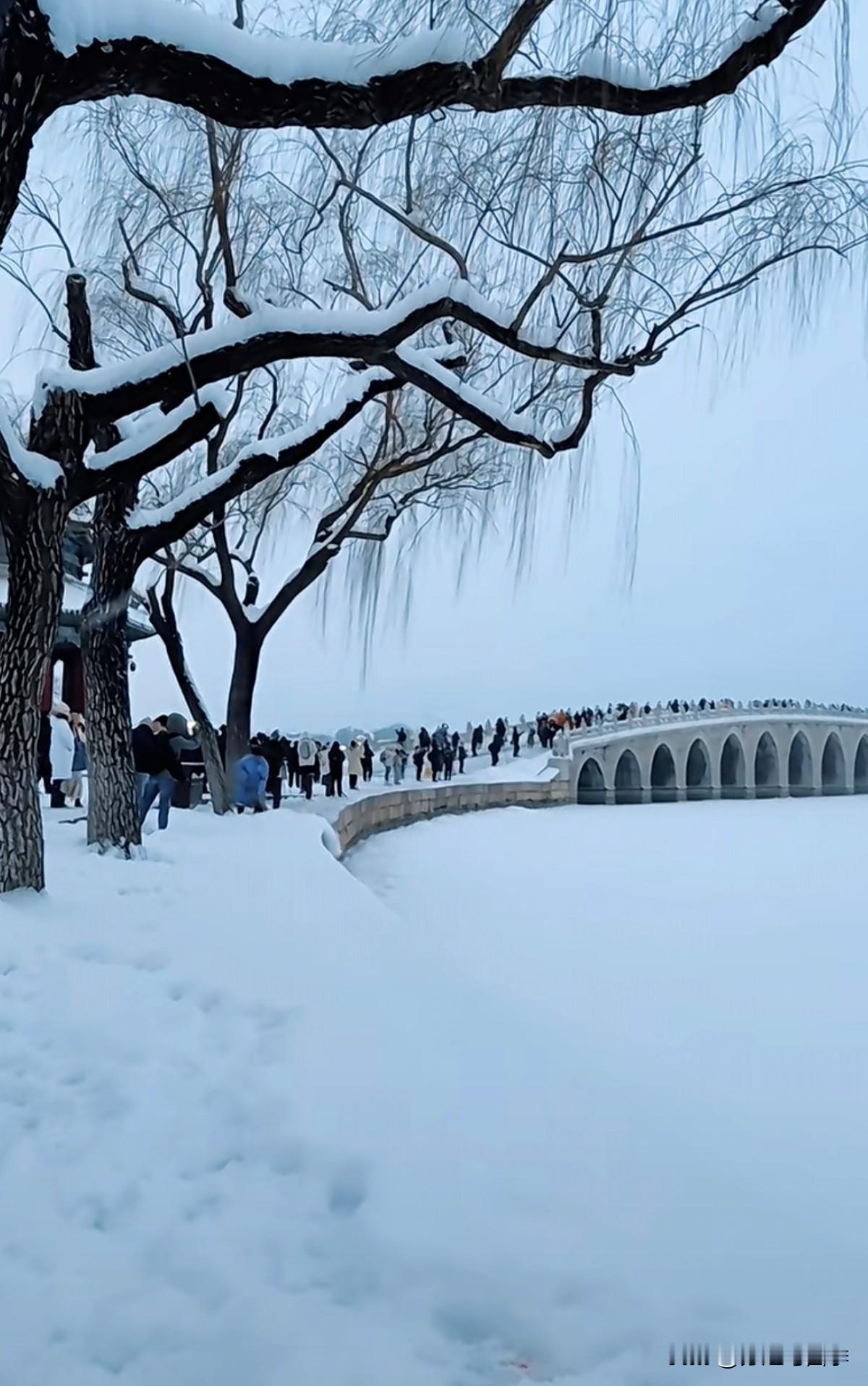 北京的一年四季中,哪个季节美?北京雪天的颐和园优雅别致，美中带着点冷艳，置身于此