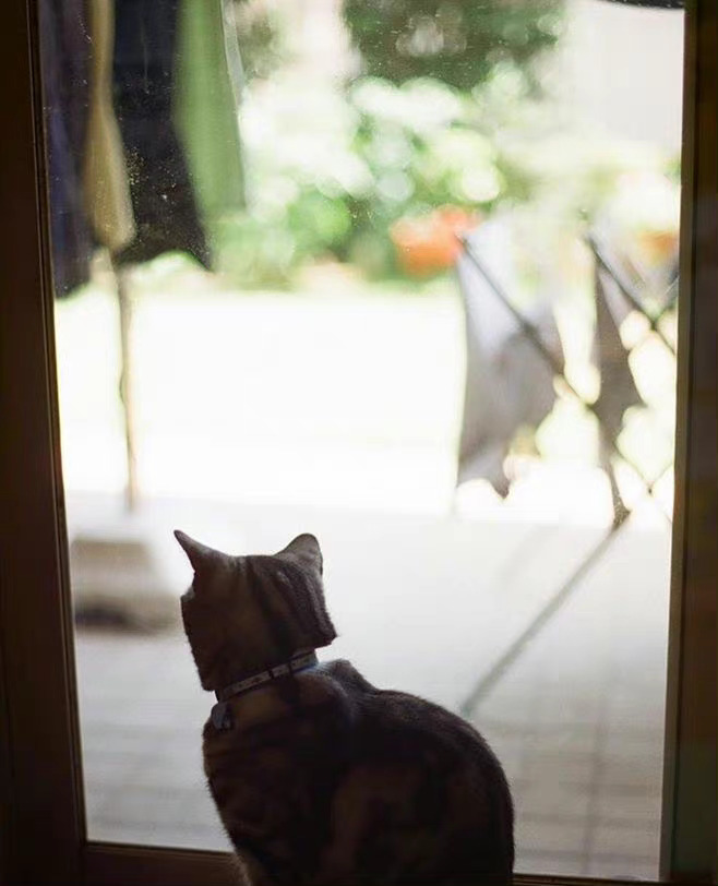 在意的事会过去，不在意的事也会过去，人生就是不管你在意还是不在意，一切都会过去 