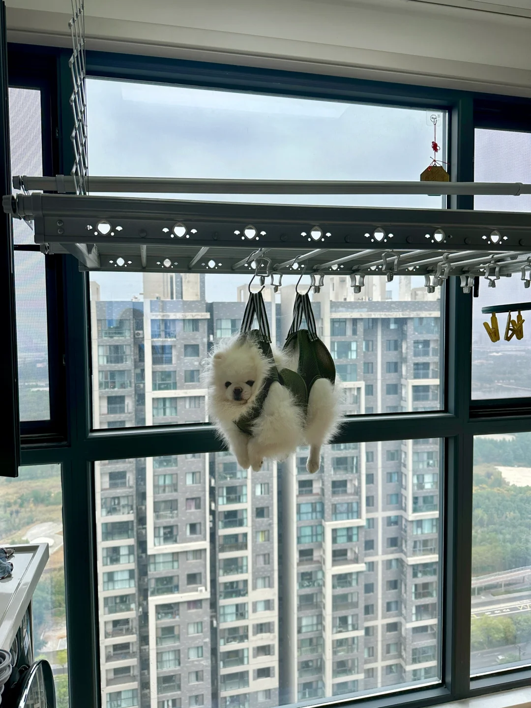 还要晾着宝宝多久？麻麻？？😡