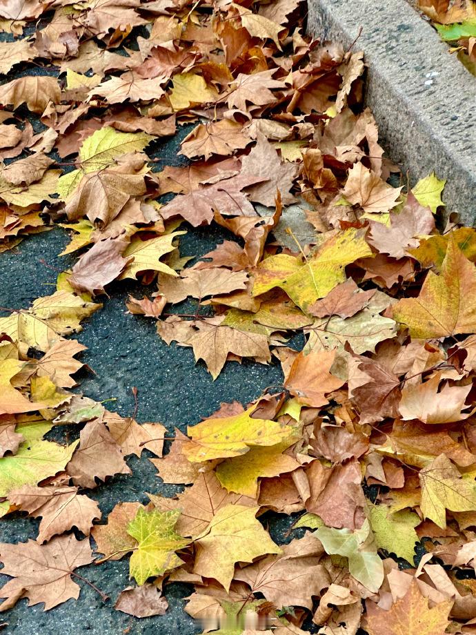 赵小童镜头里的青岛  赵小童超喜欢这个季节时候的青岛  从赵小童的镜头中感受青岛