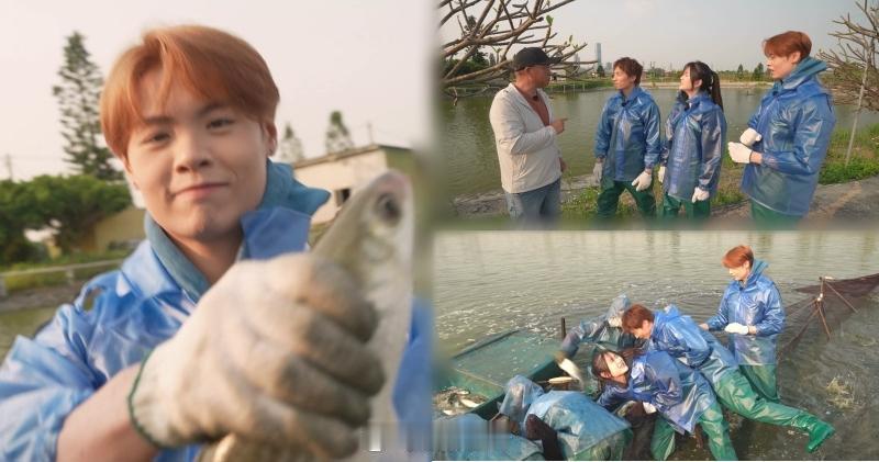 【明報即時】冼靖峰怕魚未敢捉烏頭 潘靜文嬲爆問責︰你有冇幫過手  冼靖峰怕魚，眾