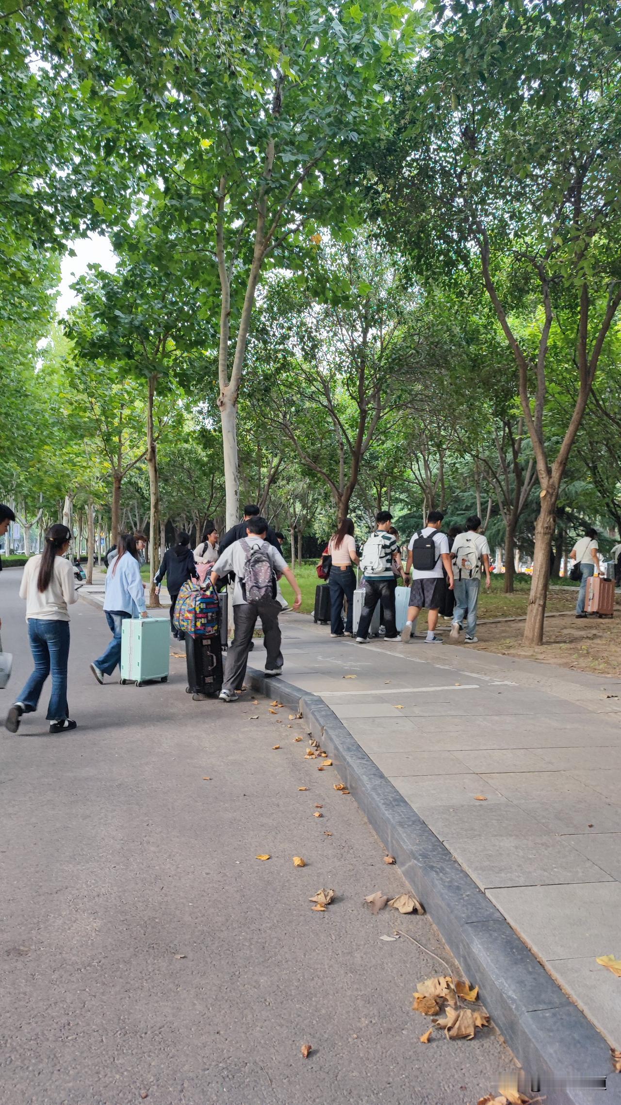 9月12日，13日，看到一辆辆迎接新生的车辆在前程大道郑州工商学院门前不远处停下