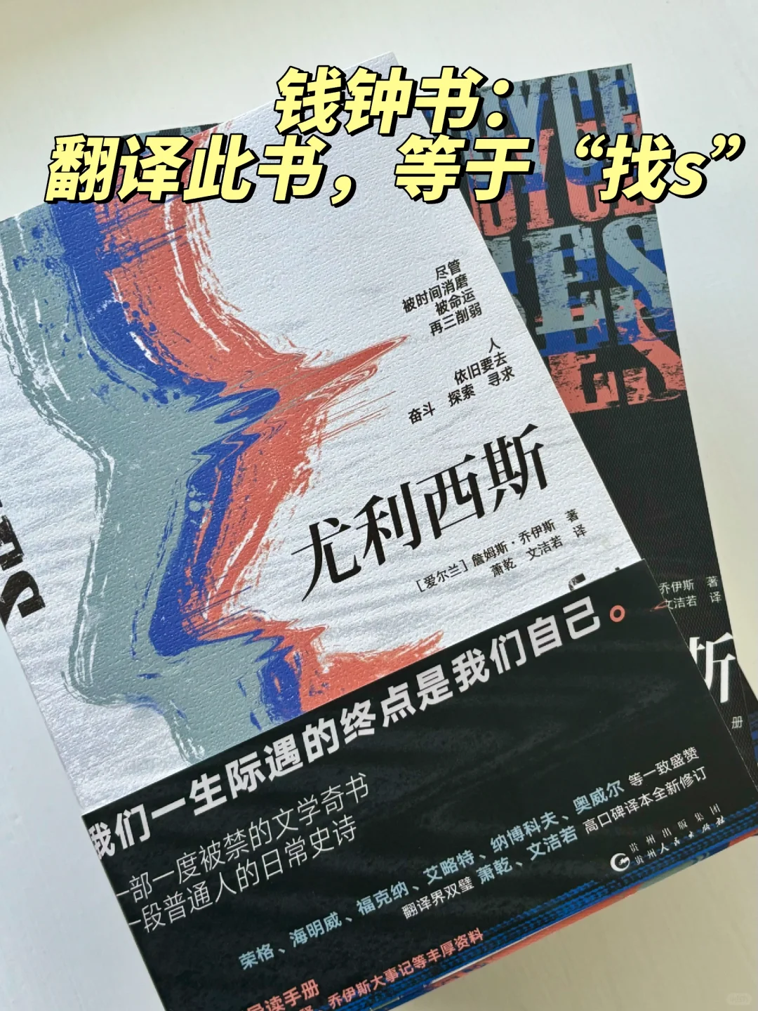 光注释就足足459页20w字单独成本的天书