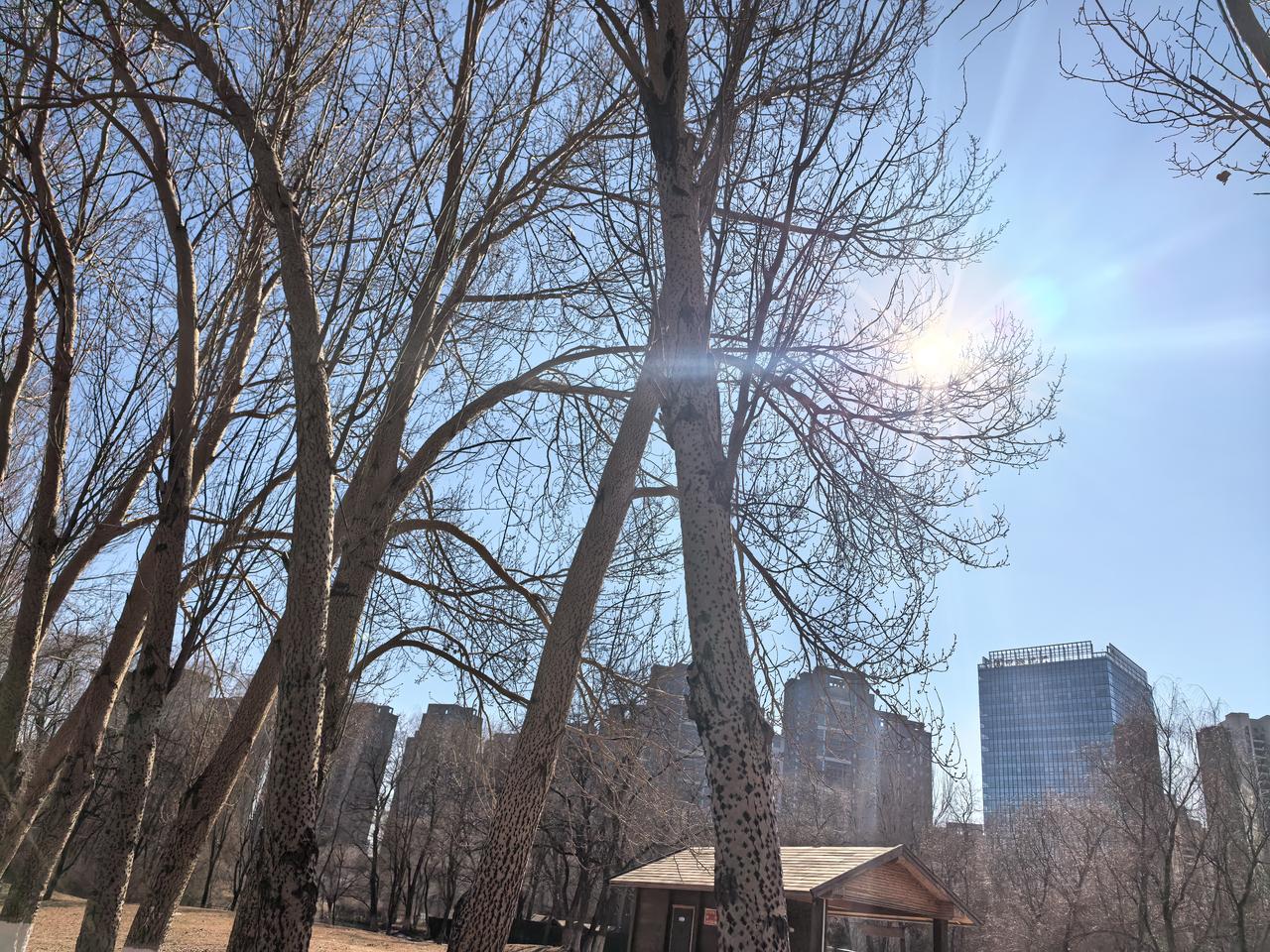 今天座出租车去开庭，司机通过我给客户打电话得知今天的案件是强奸案，然后说：刑事案