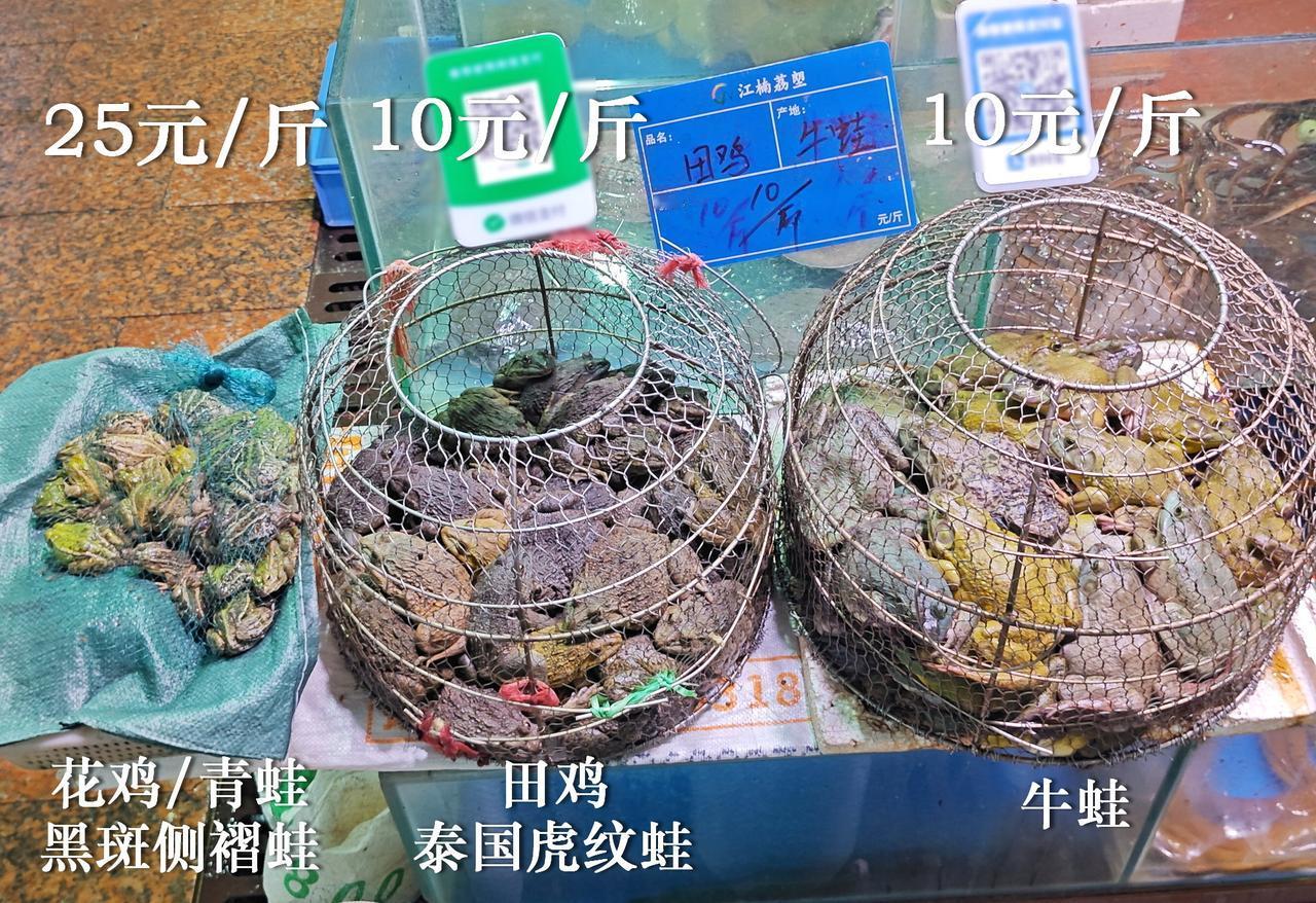 田鸡和牛蛙同价。广州荔塱市场，田鸡/虎纹蛙和牛蛙，都是10元一斤。很多人印象里田