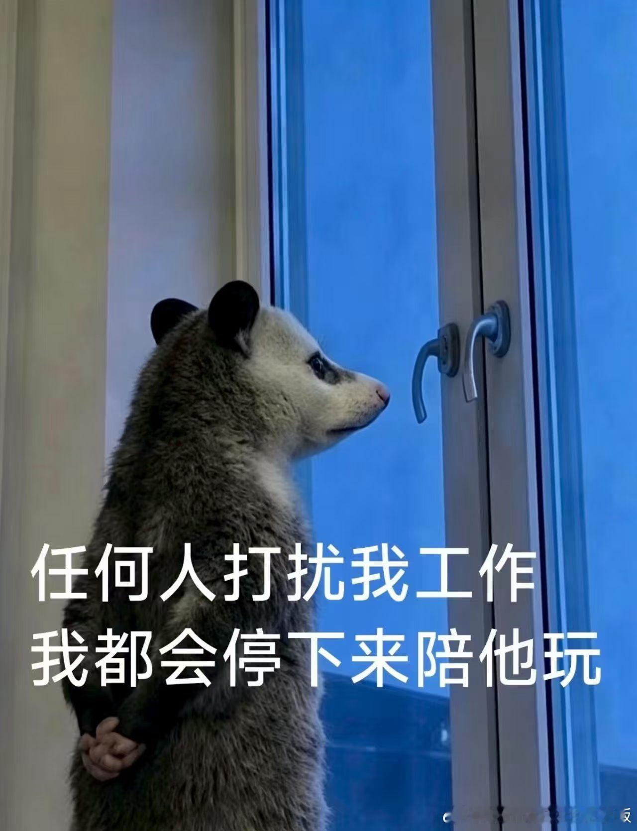 分享图片 ​​​
