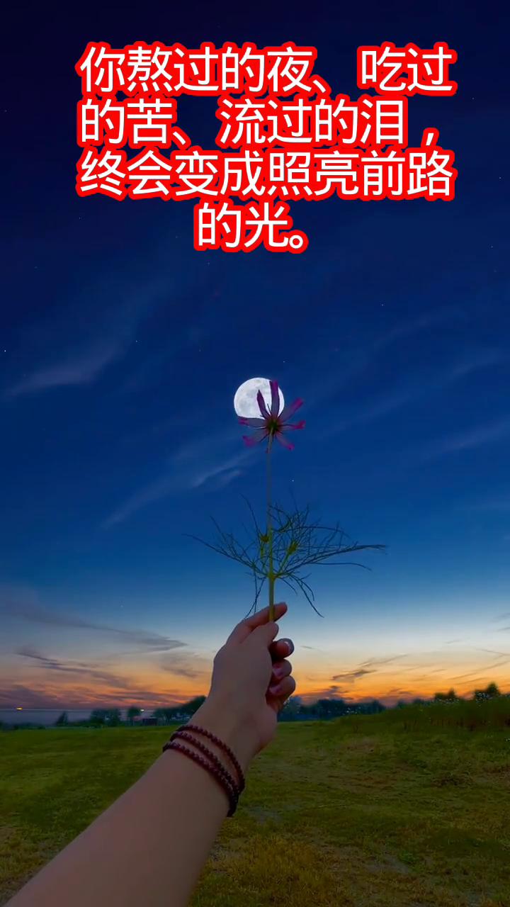 你熬过的夜、吃过的苦、流过的泪，终会变成照亮前路的光。