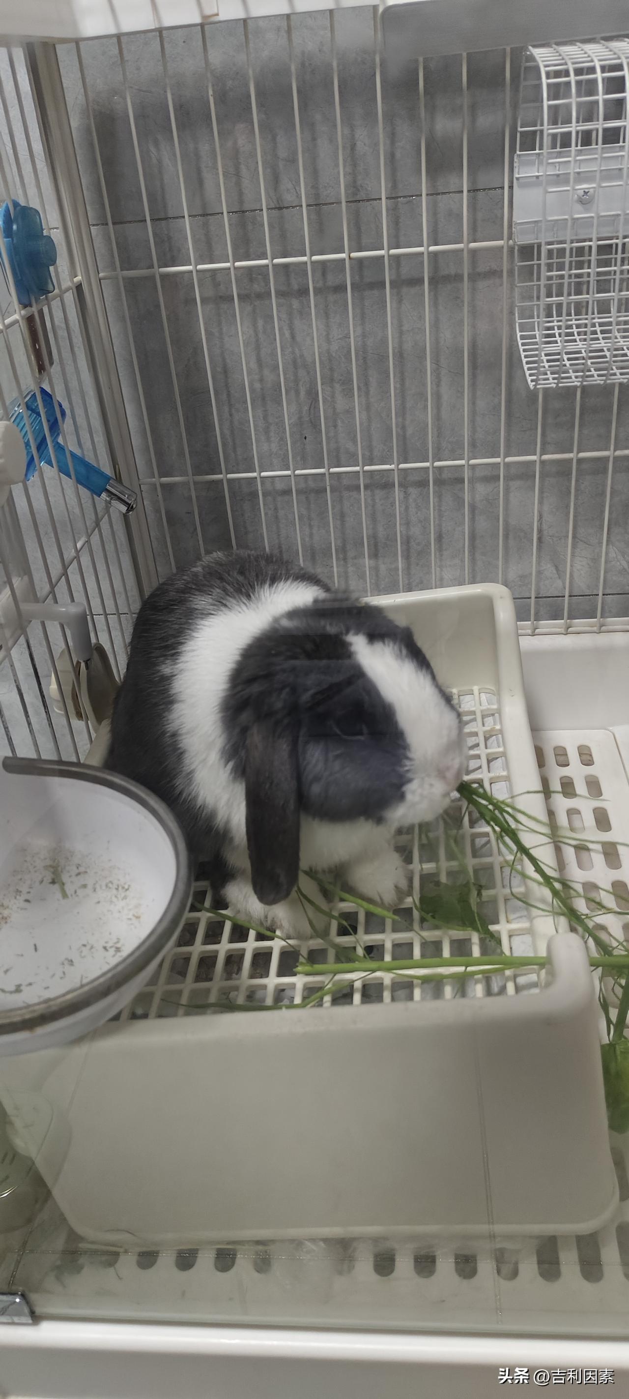 你喜欢陈梦吗不喜欢。