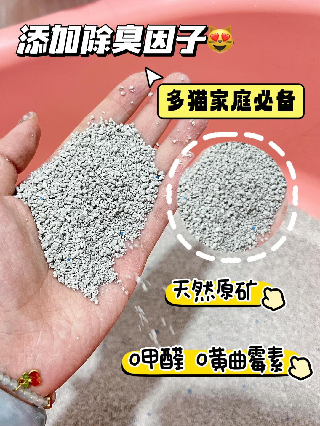 好矿沙可以不贵 多猫家庭也能实现矿沙自由