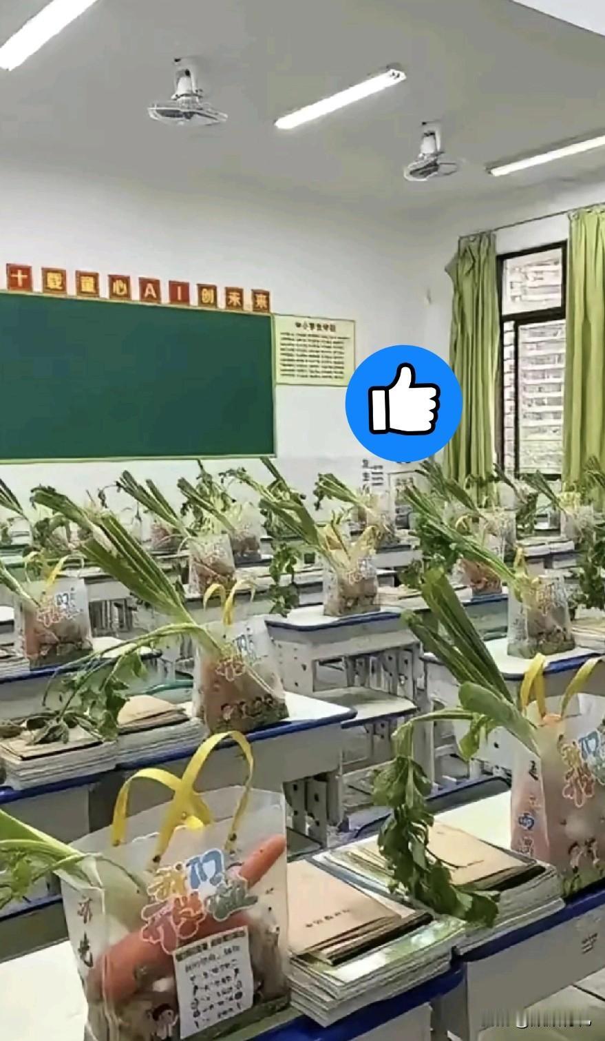 别具一新的开学礼物

芹菜+大葱+🥕+🍆

聪明，勤奋，博学多才，锲而不舍
