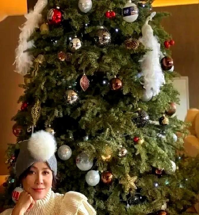 刘嘉玲的圣诞树又上线！

50万港币+8万电费，15年雷打不动。

评论区秒变战