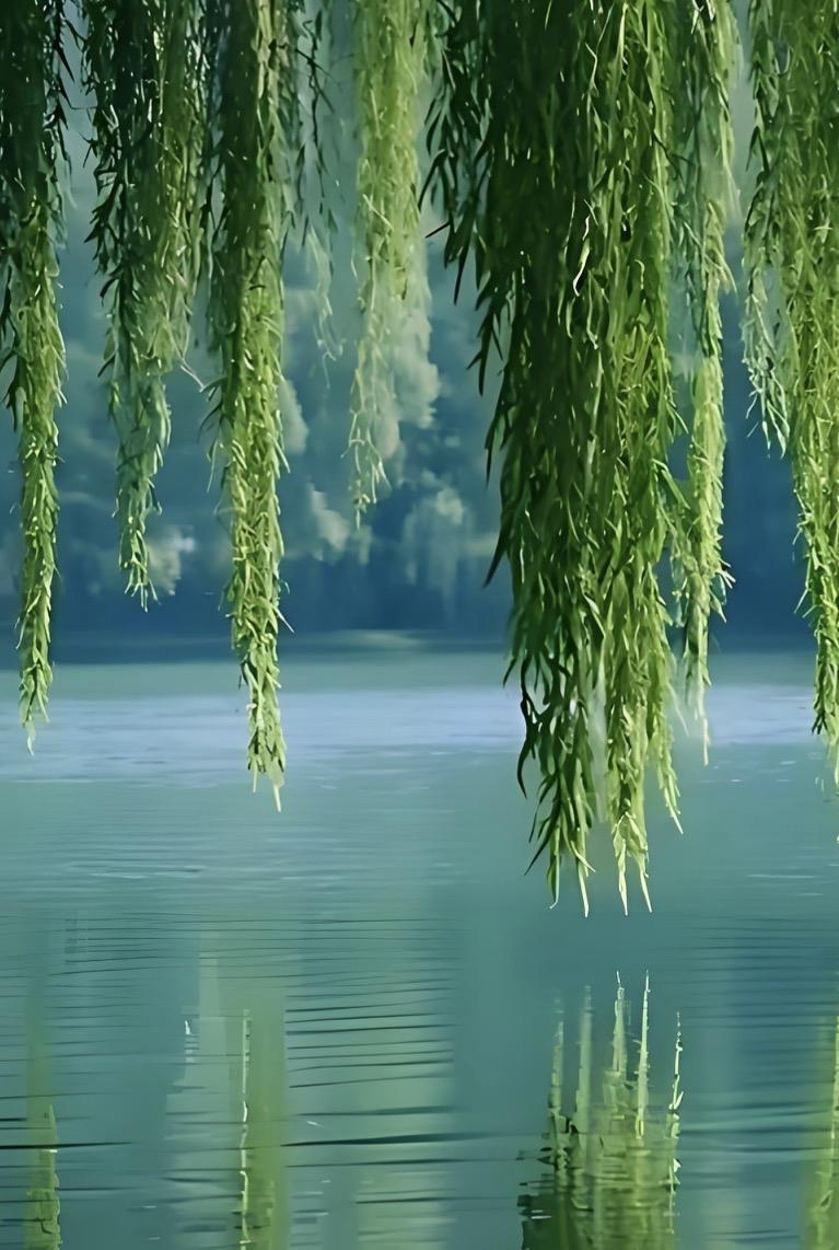 上联“风梳绿柳千丝秀”，我对“雨润红桃万树娇”。
上联里“风梳”用得超妙，把风当