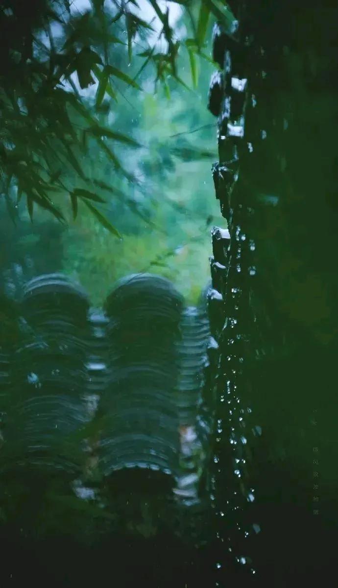 《江城梅花引·梅雨》
文/今生余生

江南梅子雨绵绵。湿荷田，浸桑园。
雾锁重楼