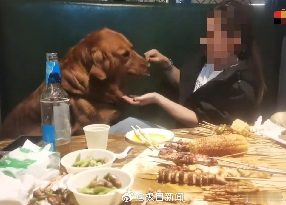 其实这事儿就跟去年海底捞撒尿小孩差不多，只不过一个是小孩，一个是狗。感觉现在很多