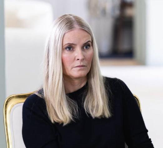 挪威王储妃梅特，身陷爱泼斯坦案丑闻，一夜衰老。
爱泼斯坦名单中，有两位王室成员陷