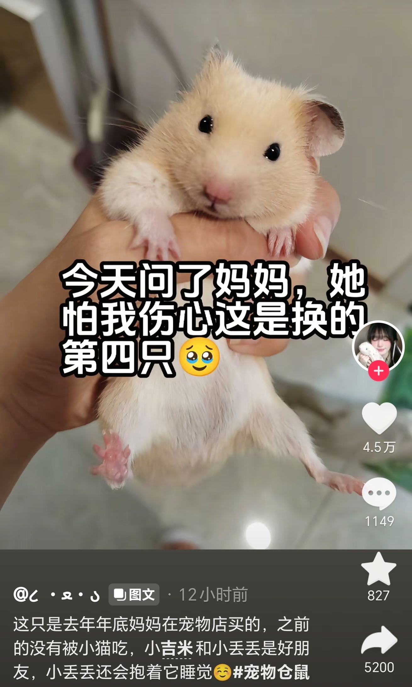 好有爱的父母🥺 