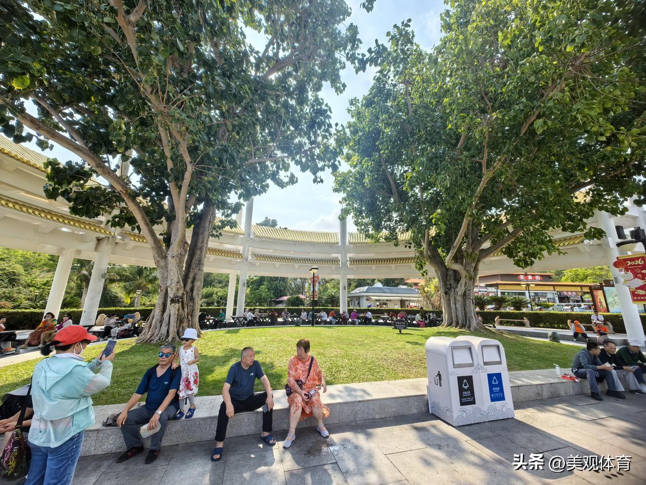 三亚南山文化旅游区内从印度引种的四株菩提树。另外两株种植在图片中这两株的对面。