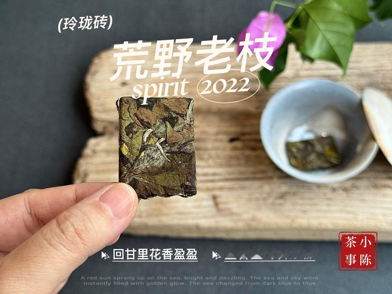 这4类人群都很适合小包装白茶，后悔没早点知道
还在撬大饼、存大罐白茶？如今独立小