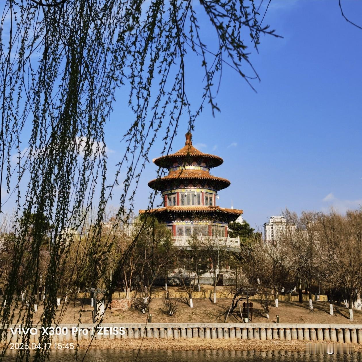 【原创\图文】

满园春色，古韵悠然。

昨天上午长春的天阴雨绵绵，空气湿漉漉的