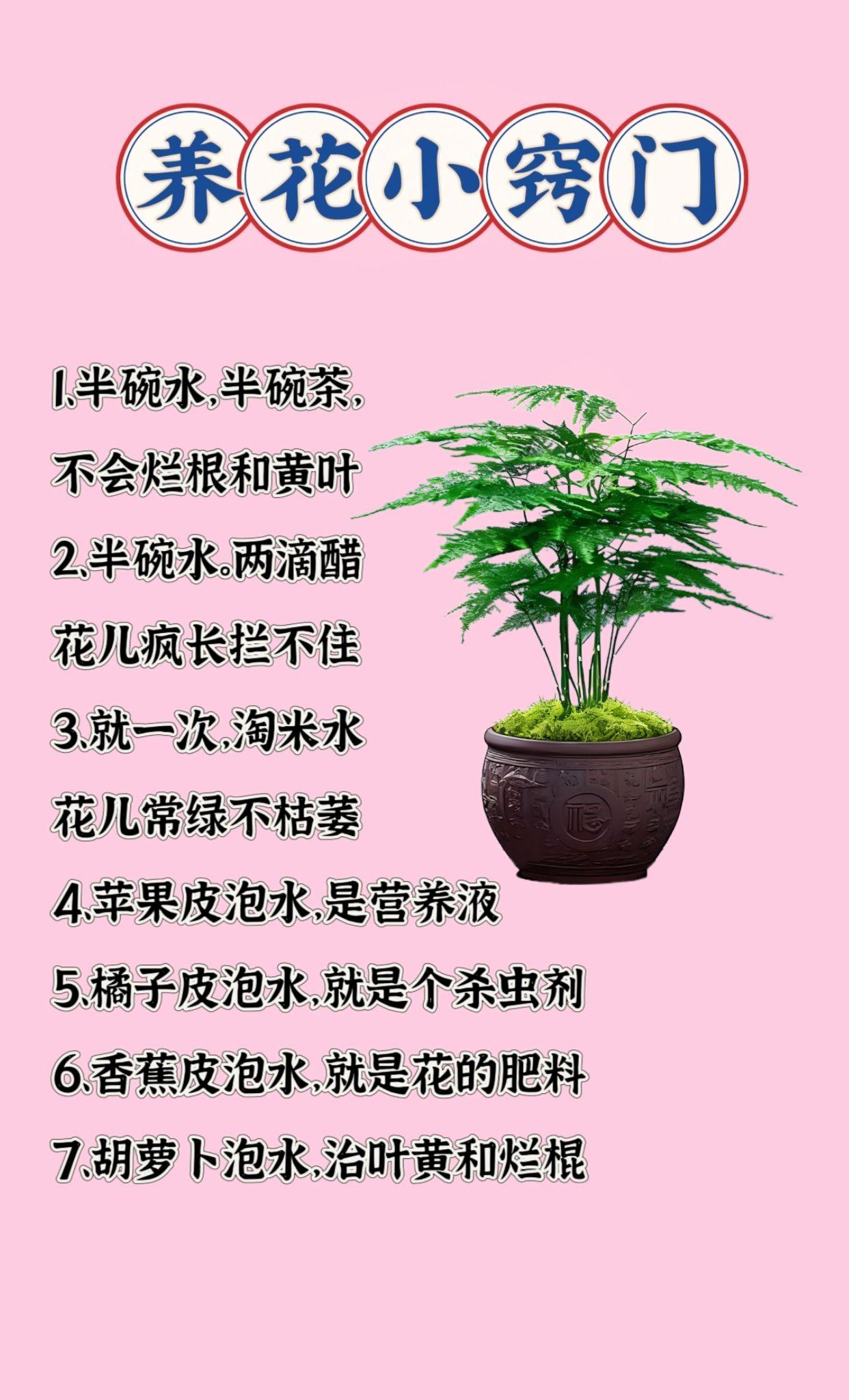 养花小知识 绿植花卉 绿植盆栽 实用妙招 小妙招大作用