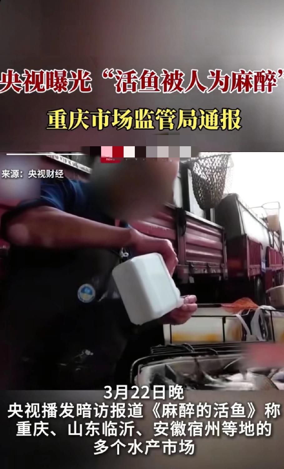 央视曝光：活鱼被喂麻醉药“休眠”上市，市监部门连夜突击核查。
央视《财经调查》近