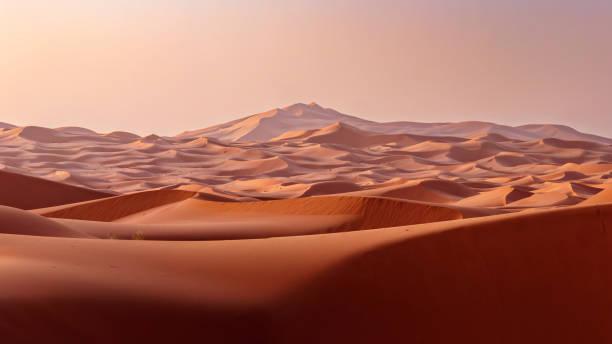 一位开悟者说：
觉醒后你反而没劲了？不是退步，是“旧燃料”烧完了。
很多人有个奇