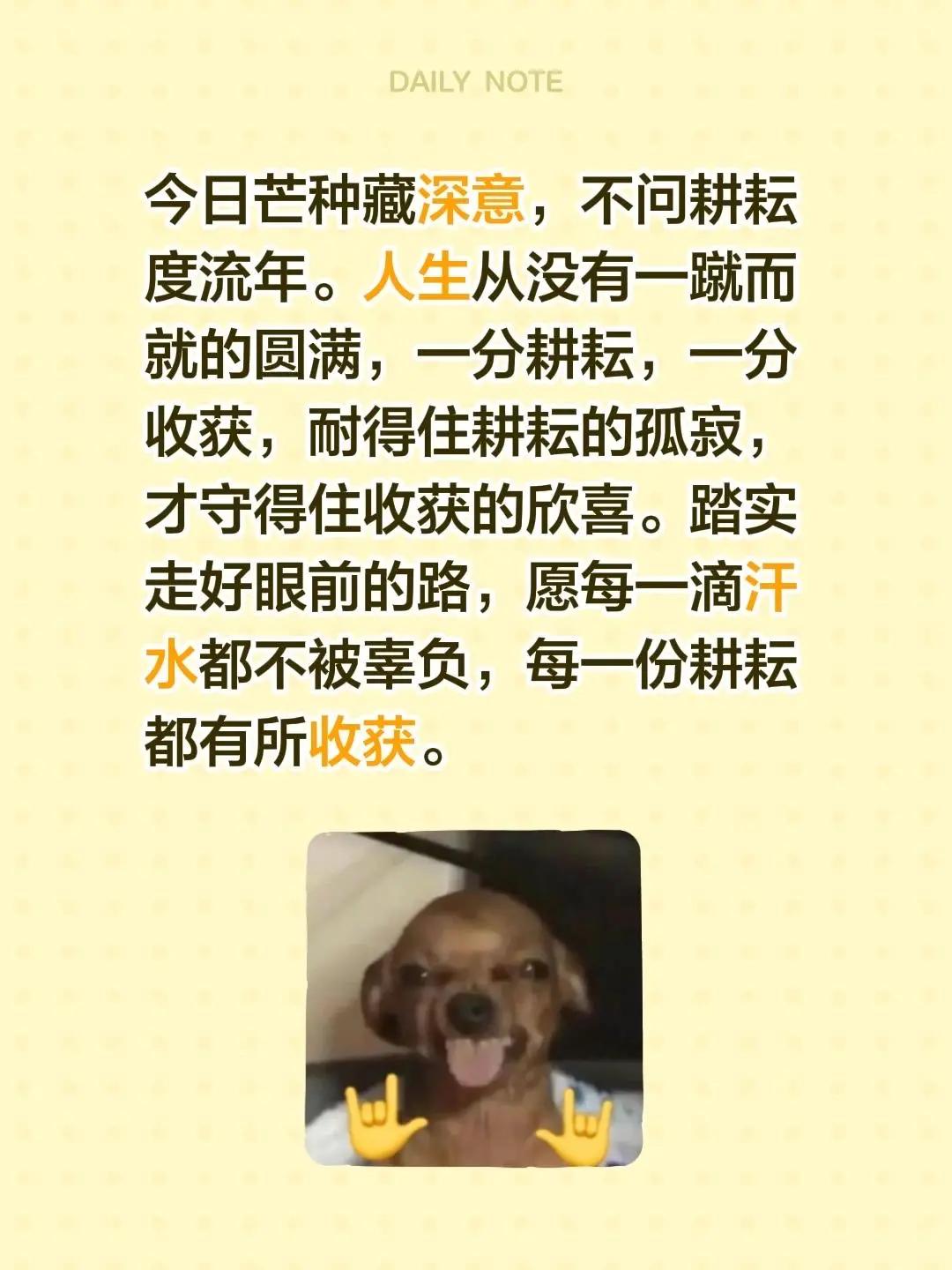 蓝光心里话。我评论了@言午 的作品：今日芒种藏深意，不问耕耘度流年。人生从没有一