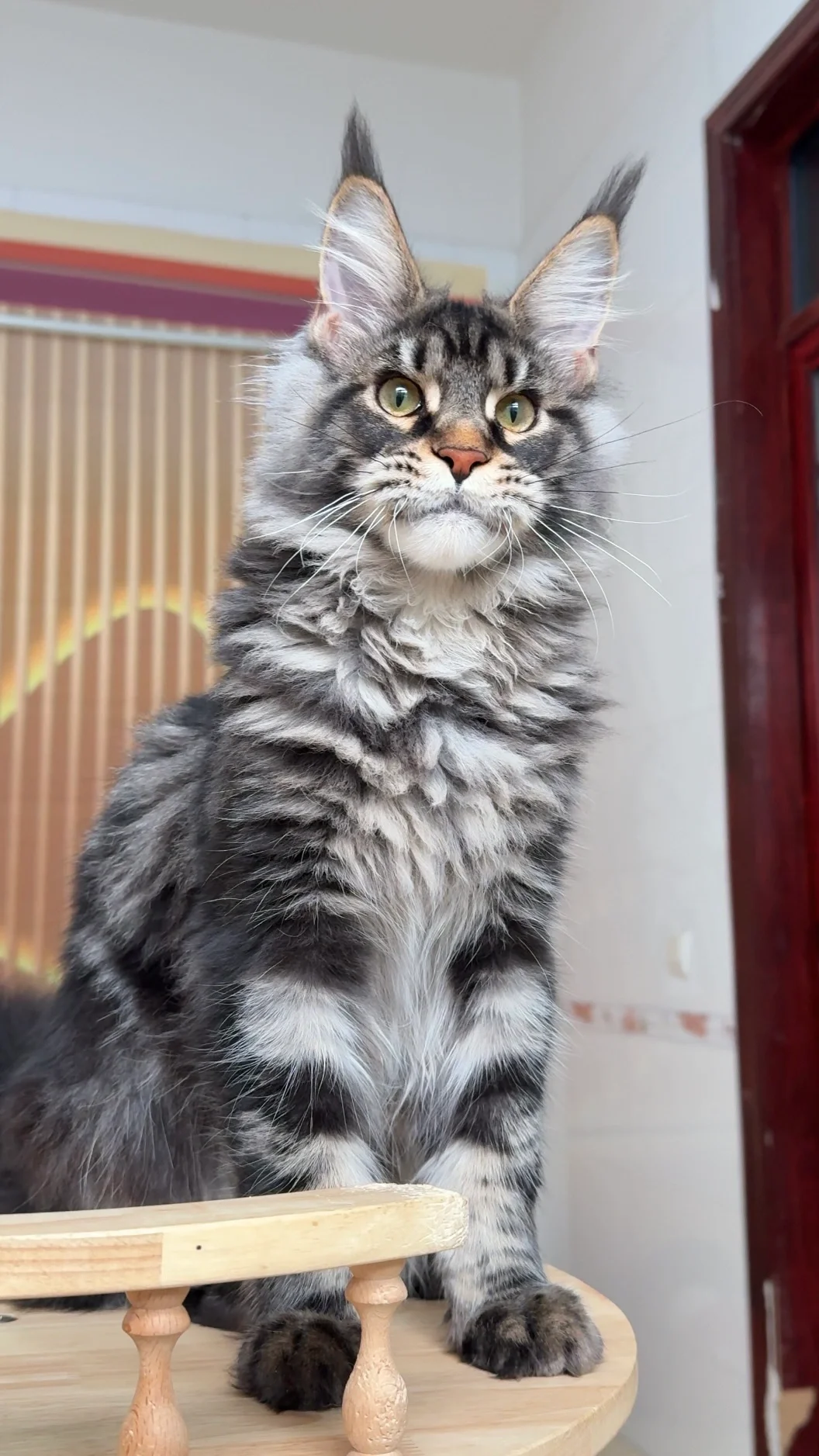 这颜值真的很可以！